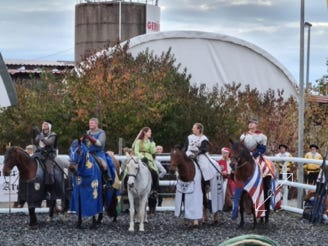 Gundelfinger Ritterturney