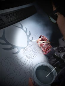 Sprinter Wappen Motorhaube